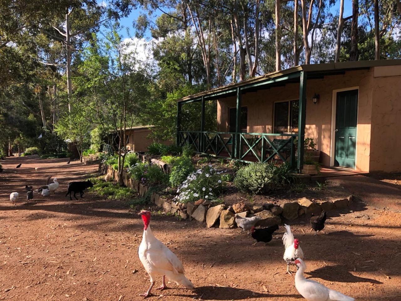 Country Cottages Of بريدج تاون المظهر الخارجي الصورة